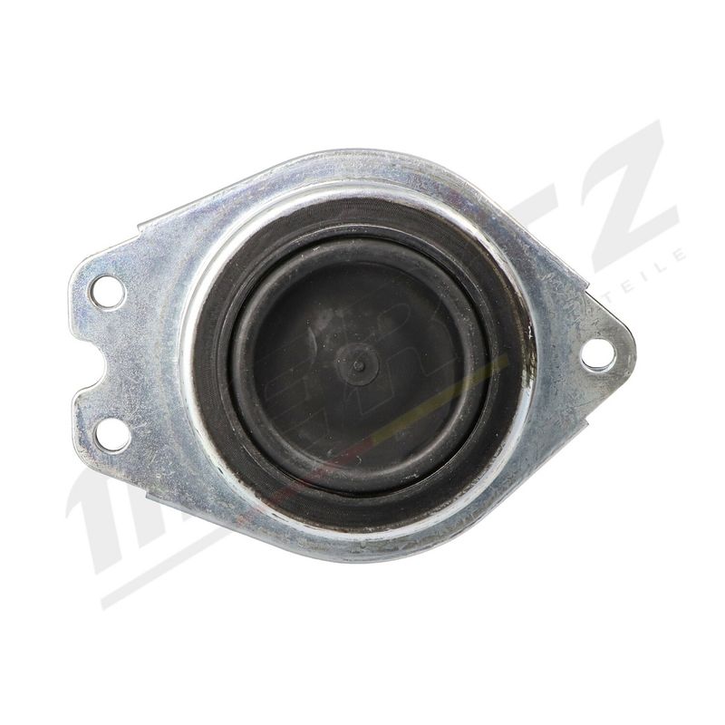 MERTZ M-S4654 Mounting, engine
