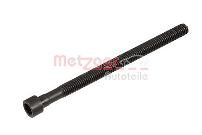 Screw, injection nozzle holder METZGER AUTOTEILE 0873030