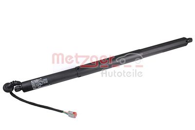 Electric Motor, tailgate METZGER AUTOTEILE 2115025