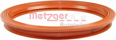 Seal, fuel sender unit METZGER AUTOTEILE 2250207