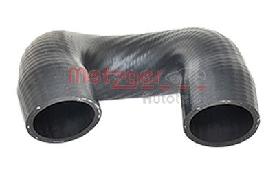 Radiator Hose METZGER AUTOTEILE 2420009