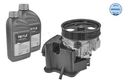 Hydraulic Pump, steering MEYLE 014 631 0010/S