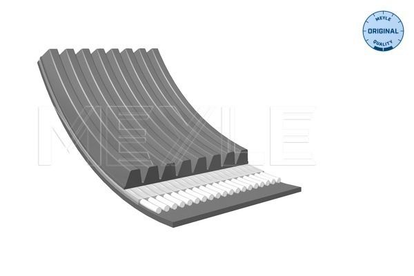 MEYLE 050 008 1230 V-Ribbed Belt