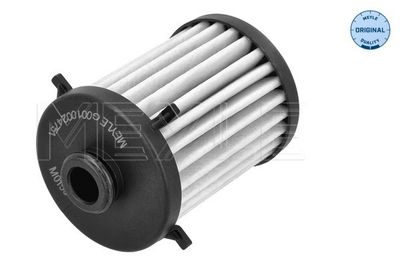Hydraulic Filter, automatic transmission MEYLE 100 136 1007
