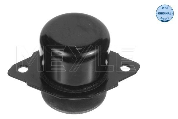 MEYLE 100 199 0027 Mounting, engine