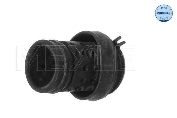 MEYLE 100 199 0036 Mounting, engine