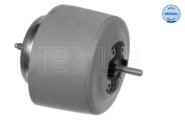 MEYLE 100 199 0084 Mounting, engine