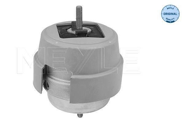 MEYLE 100 199 0192 Mounting, engine