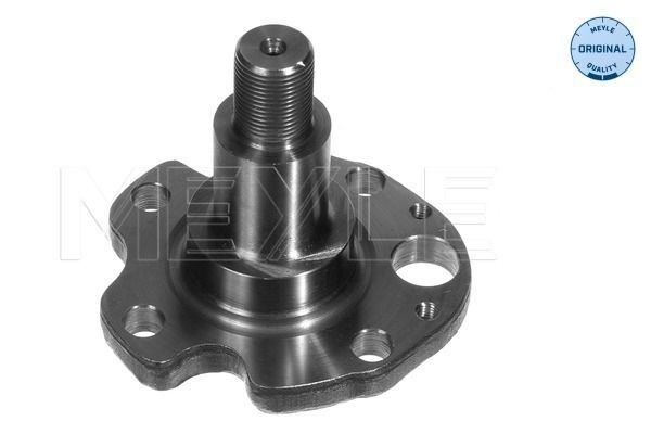MEYLE 100 501 0029 Steering Knuckle, wheel suspension