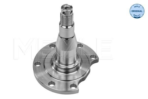 MEYLE 100 501 0031 Steering Knuckle, wheel suspension