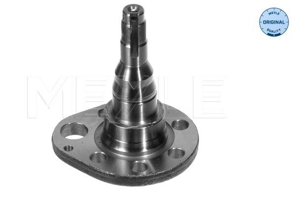 MEYLE 100 501 0036 Steering Knuckle, wheel suspension