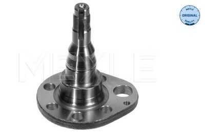 Steering Knuckle, wheel suspension MEYLE 100 501 0037