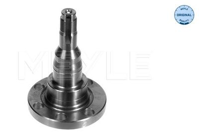 Steering Knuckle, wheel suspension MEYLE 100 501 1010