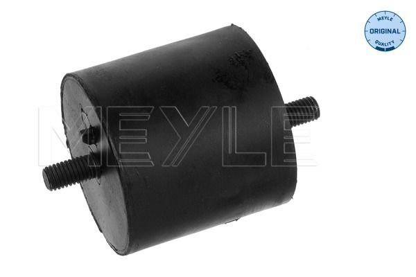 MEYLE 300 118 1120 Mounting, engine