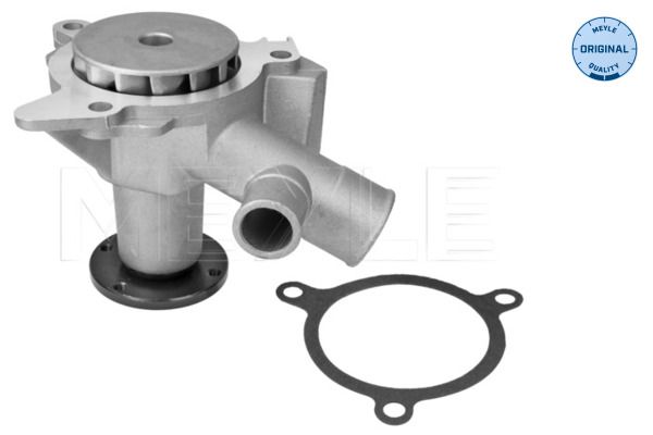 MEYLE 313 011 2500 Water Pump, engine cooling