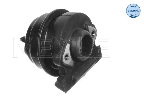 MEYLE 414 375 0001 Mounting, engine