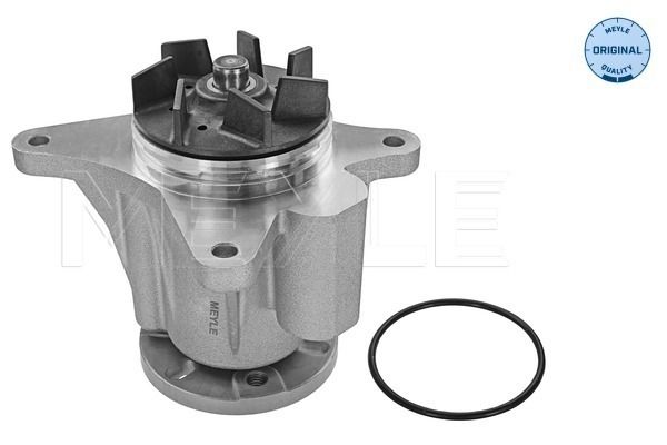 MEYLE 53-13 220 0008 Water Pump, engine cooling