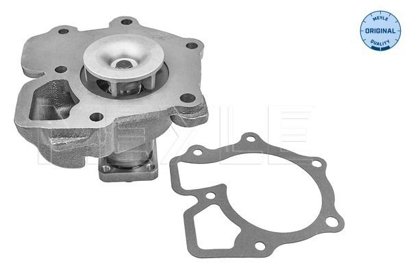 MEYLE 713 001 0002 Water Pump, engine cooling
