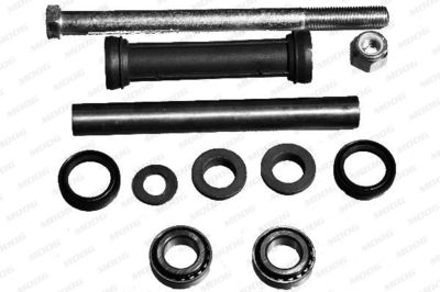 Repair Kit, control arm MOOG CI-RK-4003