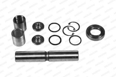 Repair Kit, steering knuckle MOOG ME-RK-2002