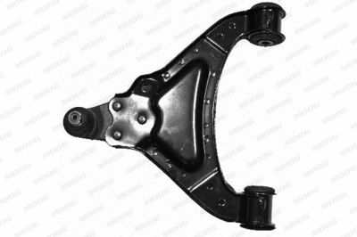 Control/Trailing Arm, wheel suspension MOOG RO-WP-2009