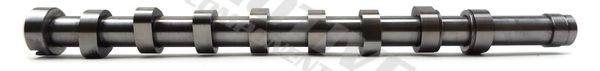 MOTIVE T1965 Camshaft