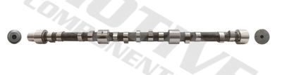 Camshaft MOTIVE T2013