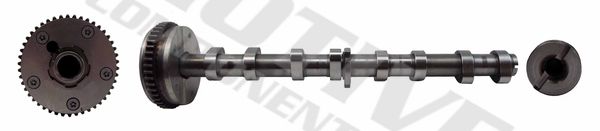 MOTIVE T2130 Camshaft