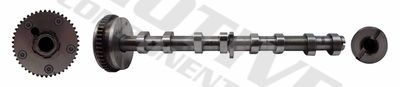 Camshaft MOTIVE T2130