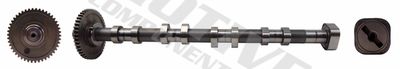 Camshaft MOTIVE T2131