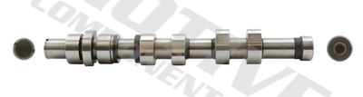 Camshaft MOTIVE T2174