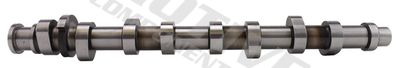 Camshaft MOTIVE T2184