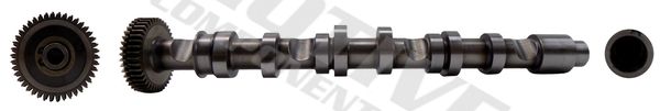 MOTIVE T2625 Camshaft