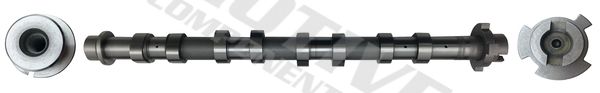 MOTIVE T4434 Camshaft