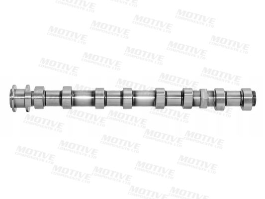 MOTIVE T4439 Camshaft