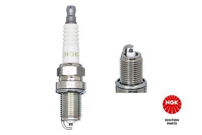 Spark Plug NGK 1089