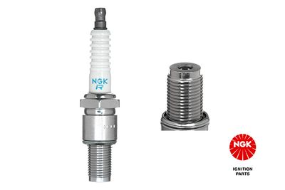 Spark Plug NGK 1252