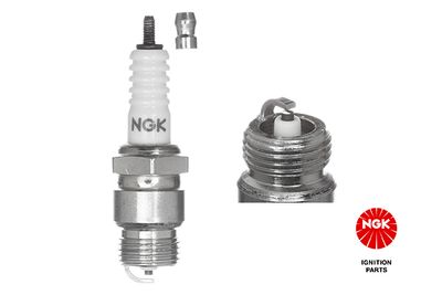Spark Plug NGK 2710