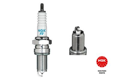 Spark Plug NGK 2842