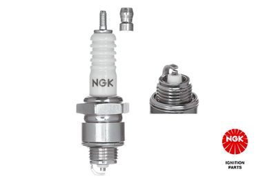 Spark Plug NGK 3011