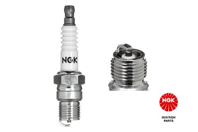 Spark Plug NGK 3027