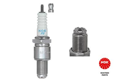 Spark Plug NGK 3129