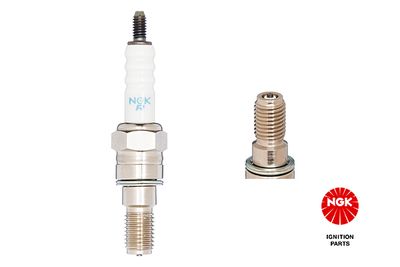 Spark Plug NGK 3176