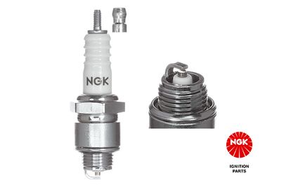 Spark Plug NGK 3210