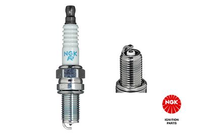 Spark Plug NGK 3641