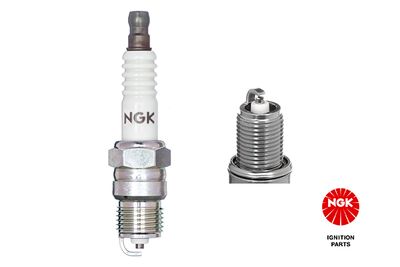 Spark Plug NGK 3928