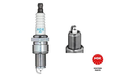 Spark Plug NGK 3971