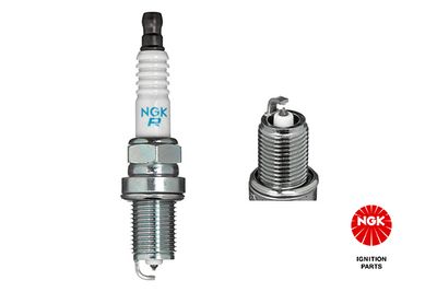 Spark Plug NGK 4045