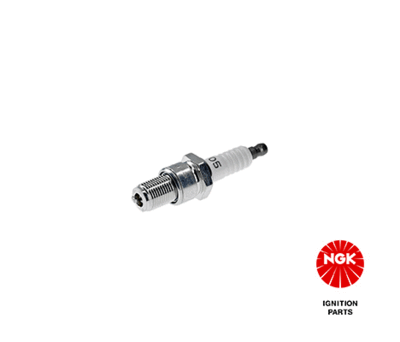 Spark Plug NGK 4076
