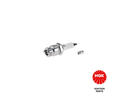 Spark Plug NGK 4489